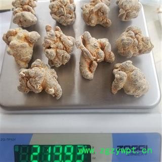 文山特产 三七 三七个 水洗三七图3