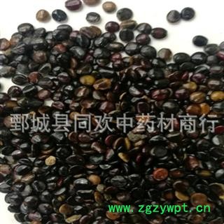 【干净枳椇子选货】@【同欢药材】中原村批发供应  规格齐全 量大从优  产地 江西省图2