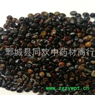 【干净枳椇子选货】@【同欢药材】中原村批发供应  规格齐全 量大从优  产地 江西省图3