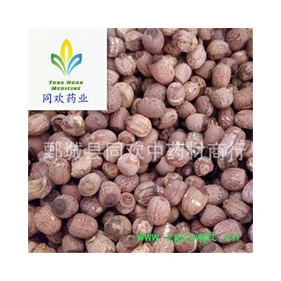 【红莲子】@【同欢药材】中药材批发供应  规格齐全 量大从优  产地 湖南省