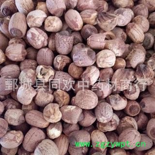 【红莲子】@【同欢药材】中药材批发供应  规格齐全 量大从优  产地 湖南省图3