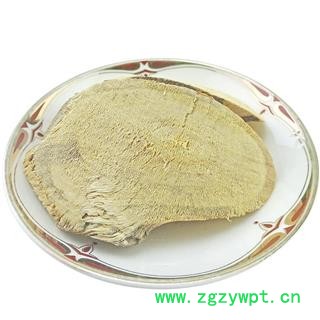 三叉苦 中药材 三丫苦 三叉虎 三桠苦 小黄散图4