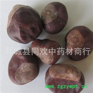 【娑罗子】@【同欢药材】中药材批发供应 规格齐全 量大从优  产地 浙江省图2