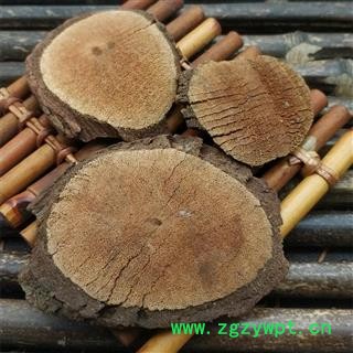 黑老虎 钻骨风 冷饭团风沙藤大钻过山风图3