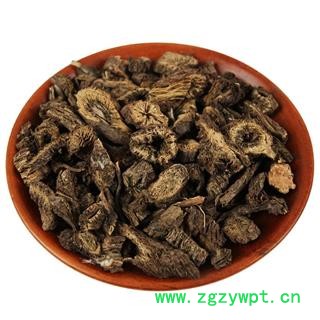 中药材漏芦 野兰鬼油麻图4