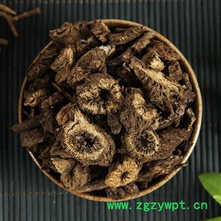 中药材漏芦 野兰鬼油麻图2