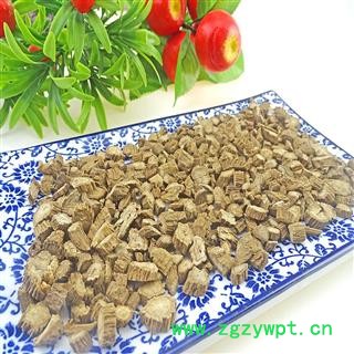 牛蒡根 中药材 牛蒡根片 牛蒡根茶牛子根 牛蒡子生牛蒡图2