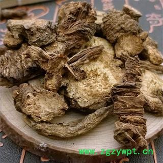 羌活 蚕羌 川羌 羌青 羌滑 退风使者 黑药图2