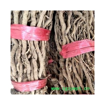 九盛堂 中药材 胡椒根 山胡椒根