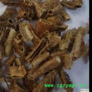 圣草康园中药材红毛刺五加皮 统货 产地 四川省阿坝藏族羌族自治州小金县图4