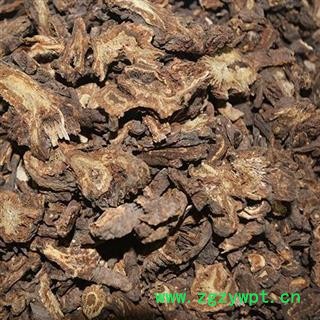 圣草康园羌活羌活片选片 四川羌活 蚕羌 川羌 竹节羌 中药材图2