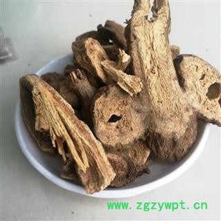 中药材 白术 浙白术图2