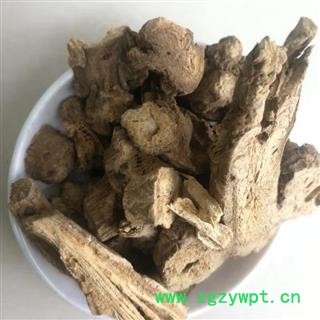 中药材 白术 浙白术图3