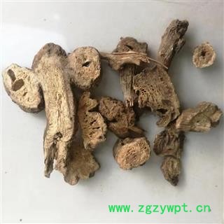 中药材 白术 浙白术图4