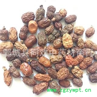 【红豆蔻】@【同欢药材】中药材批发供应  规格齐全 量大从优  产地 广西壮族自治区图3