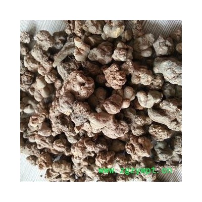 圣草康园夏天无新货有大货