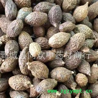 【中选圆粒胖大海】@【同欢药材】中药材批发供应  规格齐全 量大从优  产地 海外图2