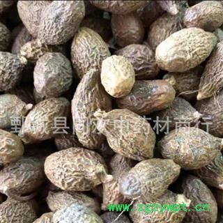 【中选圆粒胖大海】@【同欢药材】中药材批发供应  规格齐全 量大从优  产地 海外图3