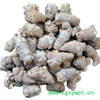 圣草康园三七60头标准60头每500克水洗三七图2