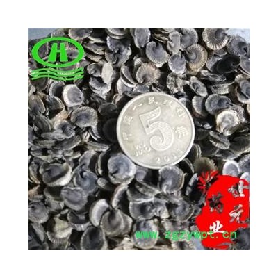 世元药业 蜀季花籽 正品 蜀葵子