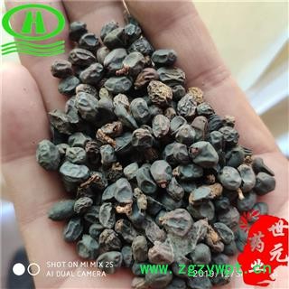 世元药业 冬青子 正品药效好 冬青实 冻青树子图2