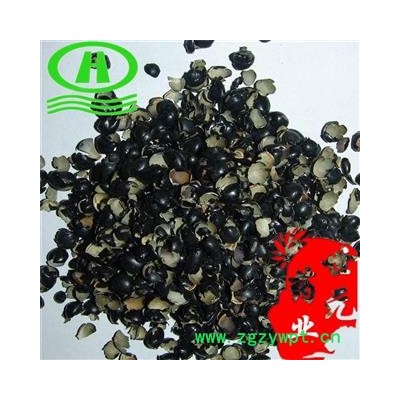 世元药业 黑豆衣 黑豆皮 正品 乌豆衣