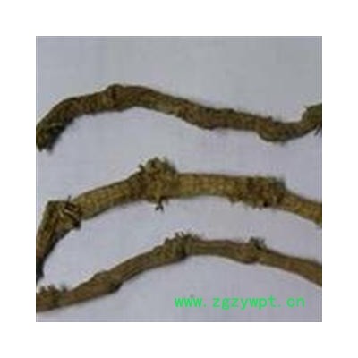 圣草康园中药材 蜘蛛抱蛋、大叶万年青、竹叶盘、九龙盘