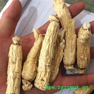 圣草康园人参 生晒参人参棒六年生无硫35支 每支15克左右 15天无条件退货 产地 吉林省图2