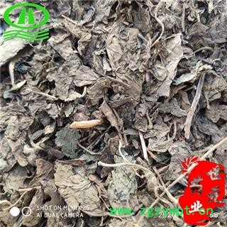 世元药业 枸杞叶 正品 枸杞子叶【全品除尘中药】图2