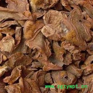 圣草康园狗脊 金毛狗脊产地广西图2