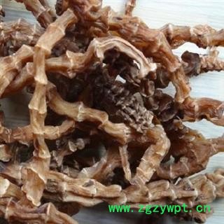 圣草康园雪参 虫草参 地龙菜 地参 泽兰根雪参地龙参 竹节参图2