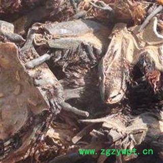 绵马贯众 精品贯众选货 产地 四川省图2