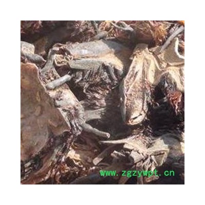 绵马贯众 精品贯众选货 产地 四川省