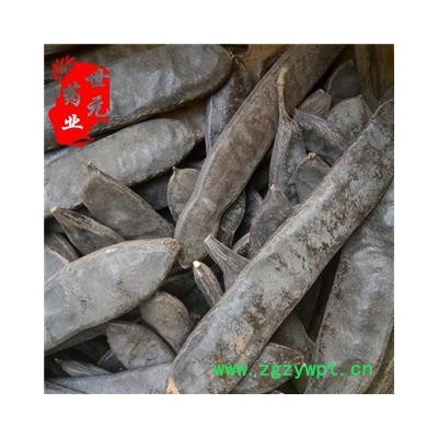 世元药业 大皂角个 正品 优质 量大从优 大皂荚