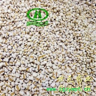 世元药业 薏苡仁 薏米 贵州中粒 新货 米仁 六谷 川谷 菩提子图2