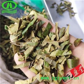 世元药业 枇杷叶 新货绿色含量高 别称-巴叶 芦桔叶 批把叶 琵琶叶图2