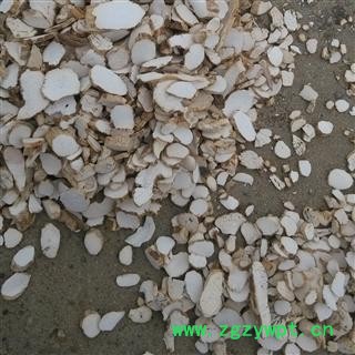 山药 统片 地道怀山药 自产自销  产地 山东省图2