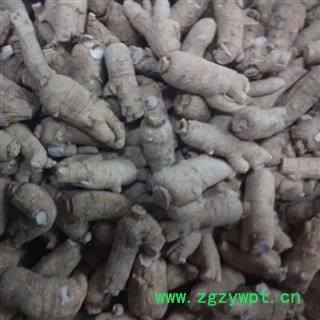 西洋参 西洋参长支20-30g 单支平均22克  产地 吉林省图2