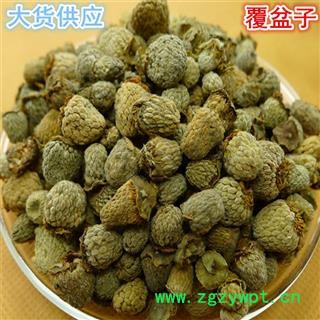 覆盆子【振兴药材】 江西覆盆子选货 产地 江西省图2