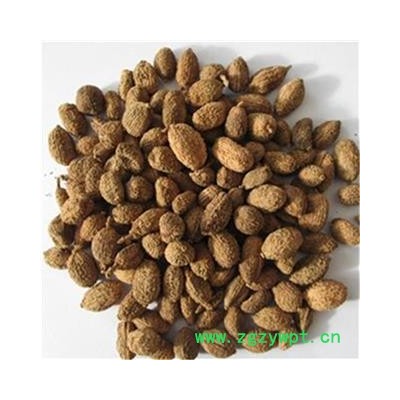 砂仁 壳砂仁选货 产地 海外 振兴中药 产地直销 重在品质