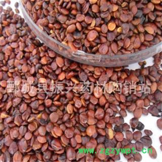 进口生枣仁 统货 【振兴药材】图2