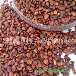 进口生枣仁 统货 【振兴药材】