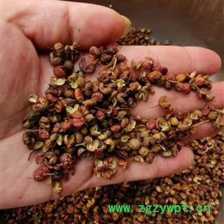 花椒 统货 产地 广东省图2