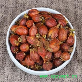 江西栀子高含量野生精选红栀子 黄栀子山栀子产地 江西省抚州市丰城保证质量15天无理由退换图4