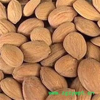 桃仁 统货 产地 山西省 过药检 【做良心药 道地药材 冷背药材 品种齐全】图2