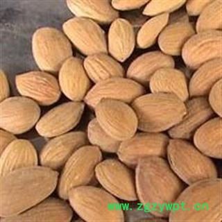 桃仁 统货 产地 山西省 过药检 【做良心药 道地药材 冷背药材 品种齐全】图3