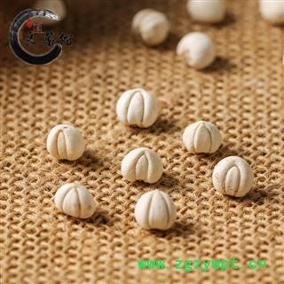 川贝母 一级松贝母 野生川贝 四川川贝母阿坝川贝地道良药馆产地直销图3