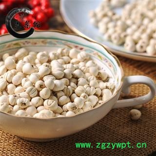 川贝母 一级松贝母 野生川贝 四川川贝母阿坝川贝地道良药馆产地直销图4