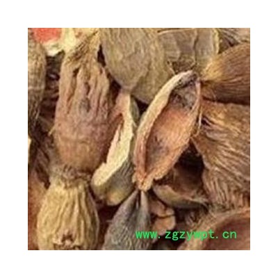 大腹皮 硬壳统货 产地 广西壮族自治区桂林市兴安县