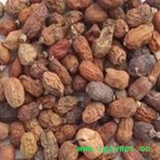 红豆蔻 统货 产地 广西壮族自治区桂林市临桂县 产地直供 支持线上保障交易 安徽省冰源堂药业经营品3000余种中药材【冷背中药材】图2